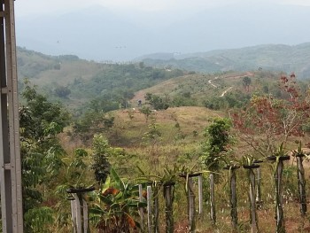 Tanah Luas Legalitas Shm Dan Murah Simpenan Sukabumi #1