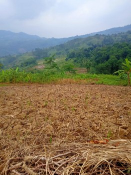 Tanah Darat 100rbu/meter Cocok Untuk Investasi, Murah Strategis #1