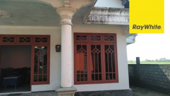 Dijual Rumah Dan Toko Di Godang Manis, Bandar Kedung Mulyo Jombang #1