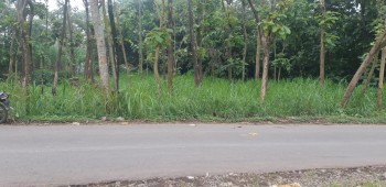 Tanah Lokasi Jalan Raya Toyomarto Singosari Arah Kebun Teh Malang 800 Juta #1