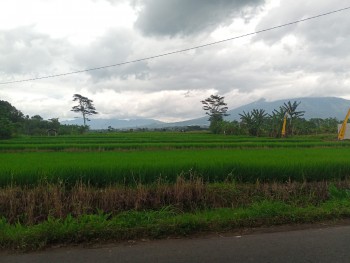 Tanah Dijual Di Malang Lt3000 Karangploso Tawangargo #1