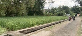 Dijual Tanah Kavlingan Jalan Paving Lokasi Mendalan Wagir Malang 100 Juta #1