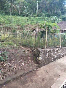 Dijual Tanah Kebon Jeruk Lokasi Belakang Pom Bensin Ngantang Malang 980 Juta #1