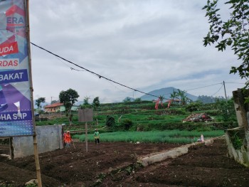 Tanah Sawah Simpang Kenden Penundaan Ciwidey Bandung #1